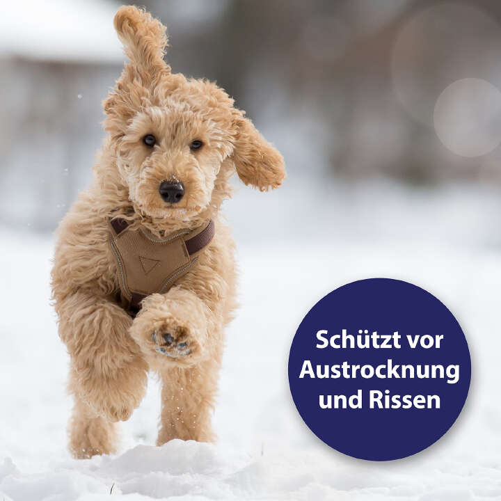 Canosept Pfotenpflege für Hunde 75 g